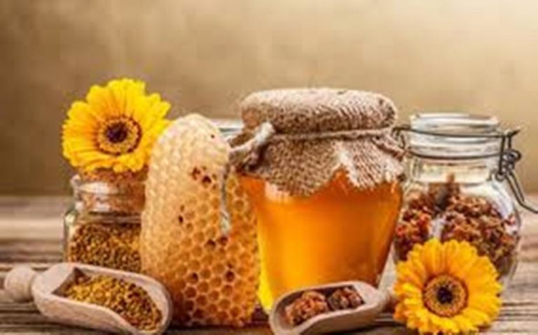 Ο ΕΑΣ Κεφαλονιάς-Ιθάκης για μέλι – φυτοφάρμακα