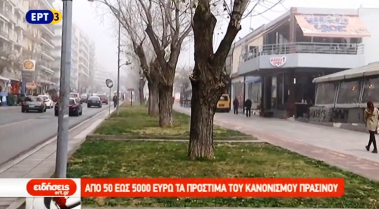 Μεγάλα πρόστιμα από τον Δήμο Θεσσαλονίκης για καταστροφές στους χώρους πρασίνου (video)
