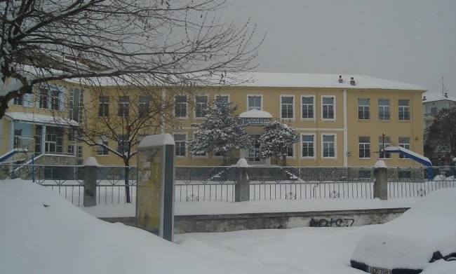Φλώρινα-Πρέσπα- Αμύνταιο: Κλειστά τα σχολεία λόγω χιονόπτωσης