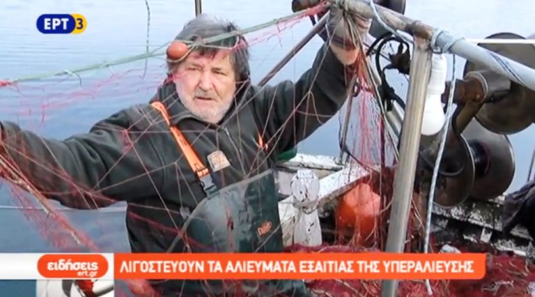 Λιγοστεύουν τα αλιεύματα εξαιτίας της υπεραλίευσης στο Φανάρι (video)