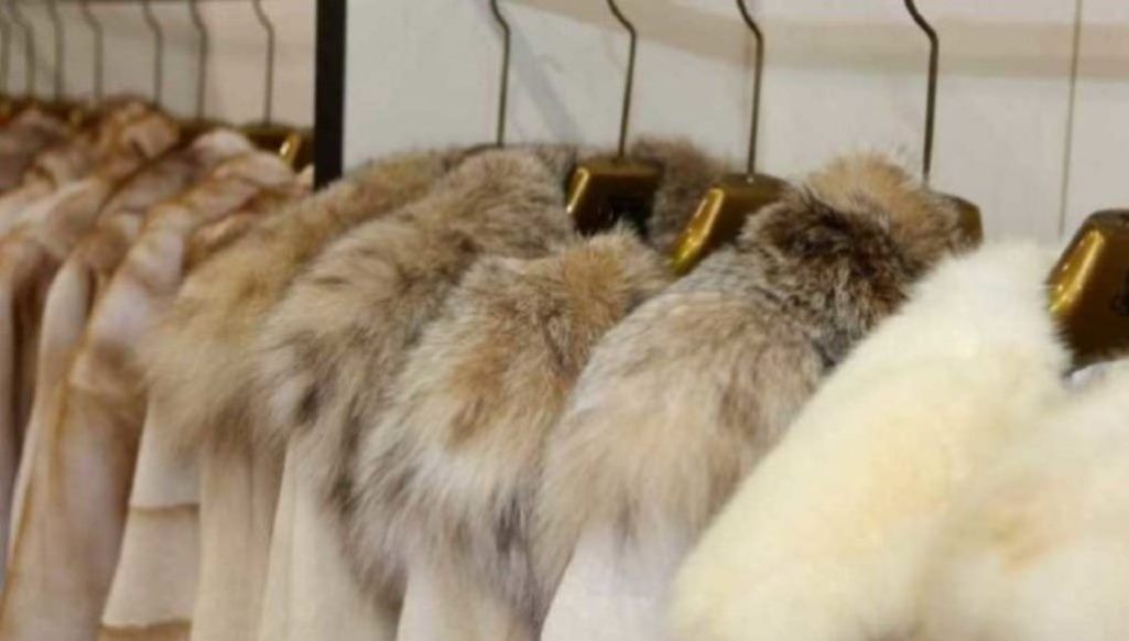 Καστοριά: Fur Shopping Festival