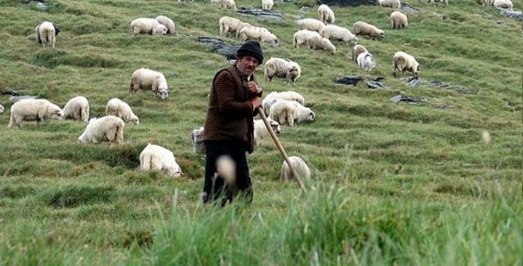 Γρεβενά: Καταγγελία κτηνοτρόφου κατά Αστυνομίας