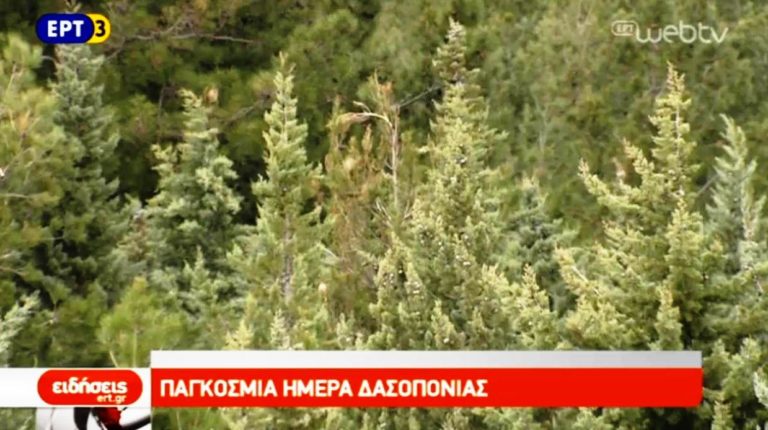 Παγκόσμια ημέρα Δασοπονίας (video)