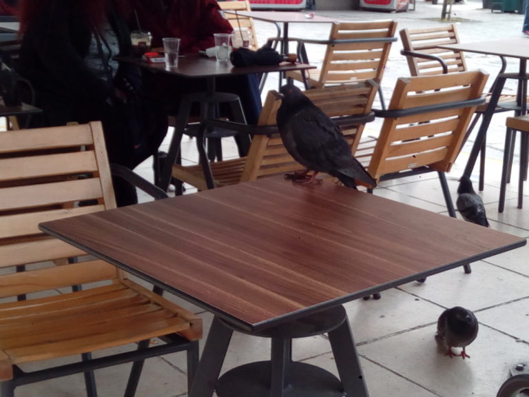Κομοτηνή: Φιλοσοφίες μιας  ζωής…