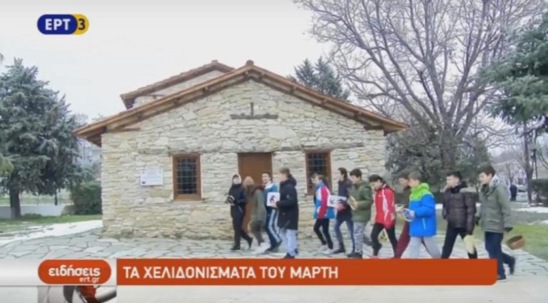 Αναβίωσε η Χελιδόνα στην Αιανή Κοζάνης (video)