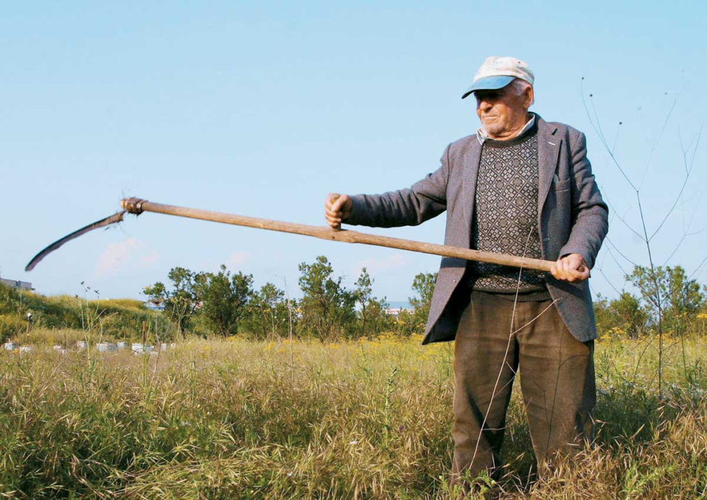 Λέσβος: Εγκύκλιος για συνταξιούχους με αγροτικά εισοδήματα
