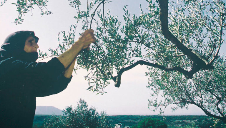 4ος Παγκρήτιος Διαγωνισμός Κρητικού Ελαιολάδου (audio)