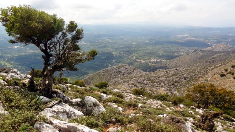 Σεμινάριο για τον τουρισμό και το φυσικό περιβάλλον