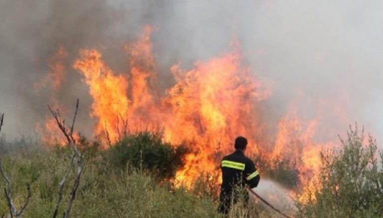 Τέθηκε υπό έλεγχο η φωτιά στο Φόδελε