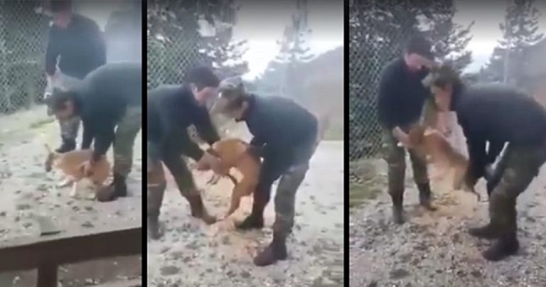 Πανελλήνια κατακραυγή για την κακοποίηση σκύλου από στρατιώτες