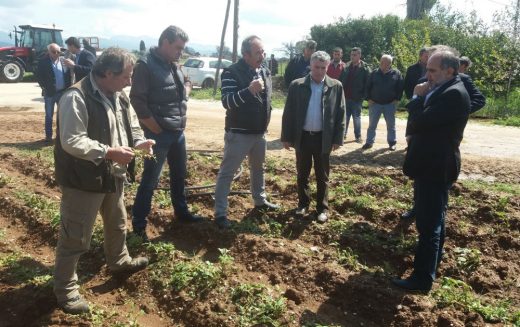 Ο περιφερειάρχης Α. Κατσιφάρας στις πληγείσες περιοχές