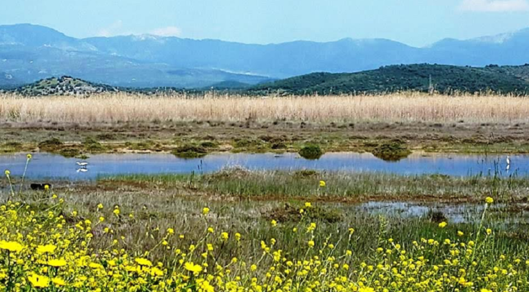 Ανοιξιάτικη εξερεύνηση της χλωρίδας του Κολοβρέχτη