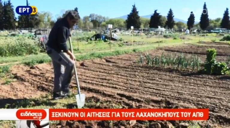 Ξεκινούν οι αιτήσεις για τους λαχανόκηπους του ΑΠΘ (video)