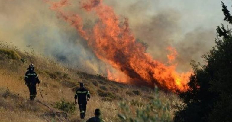 Πυρκαγιά σε δασική έκταση στην Σάμο