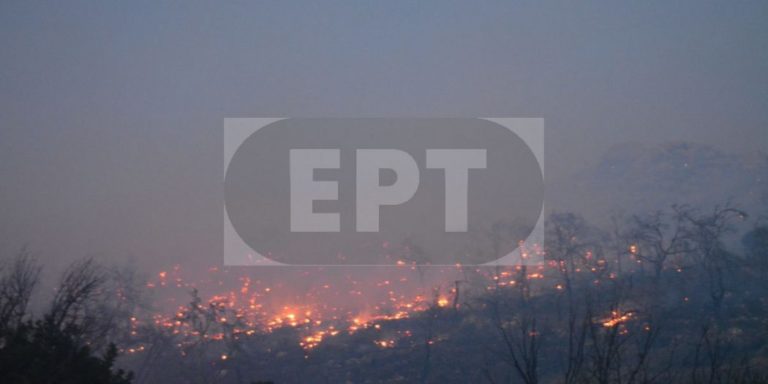 Εύλογη η καθυστέρηση στις αποζημιώσεις απαντά το Υπουργέιο