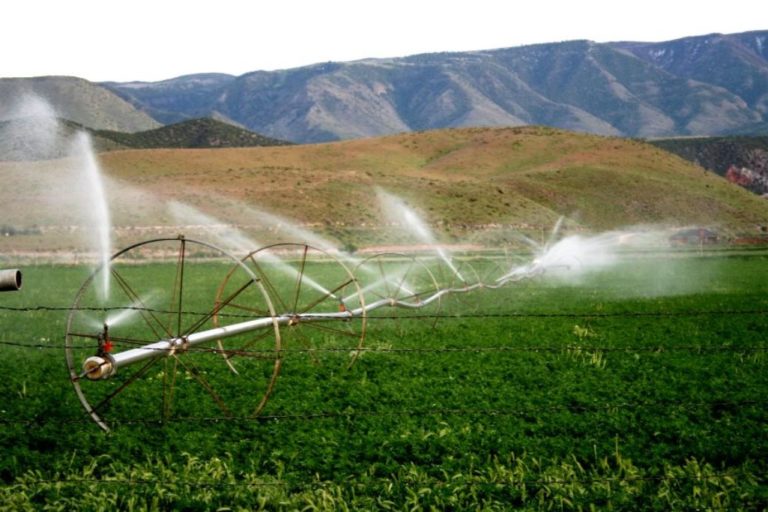 Κατατέθηκε η μελέτη για το αρδευτικό Πρεσπών