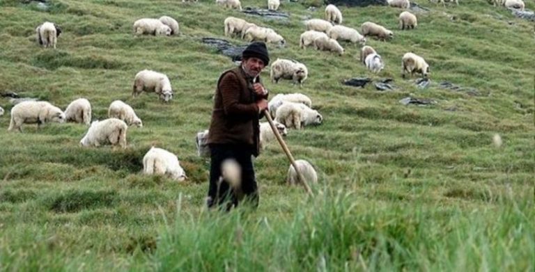 Δημήτρης Χαρίτου: Σε απελπιστική κατάσταση οι κτηνοτρόφοι της Ροδόπης