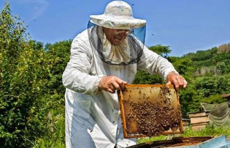 Ικανοποίηση για το Κέντρο Μελισσοκομίας στην Κοζάνη