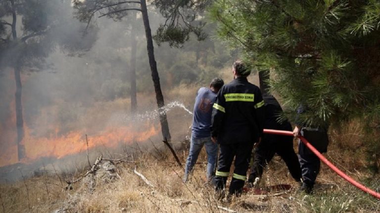 Σε εξέλιξη πυρκαγιές σε Αυλώνα, Κίσσαμο, Αμαλιάδα και Κιάτο