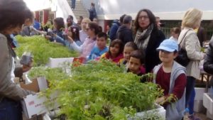 Κομοτηνή: Μικροί Κηπουροί του Πελίτι έτοιμοι για δράση