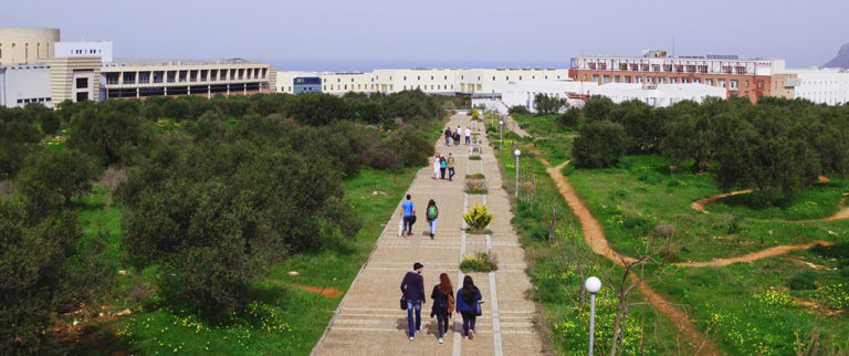 Χανιά: Ημέρα Καθαριότητας στην Πολυτεχνειούπολη