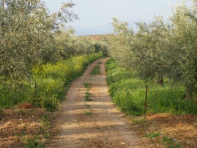 Παρατείνεται μέχρι τέλος Φεβρουαρίου η υποβολή προτάσεων για το πρόγραμμα αγροτικής οδοποιίας από τους ΟΤΑ