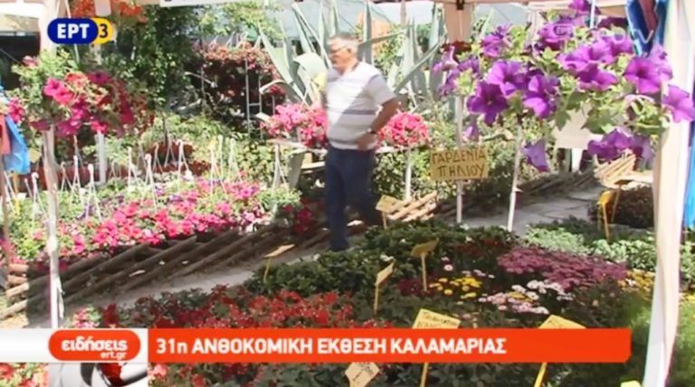 31η Ανθοκομική Έκθεση Καλαμαριάς (video)