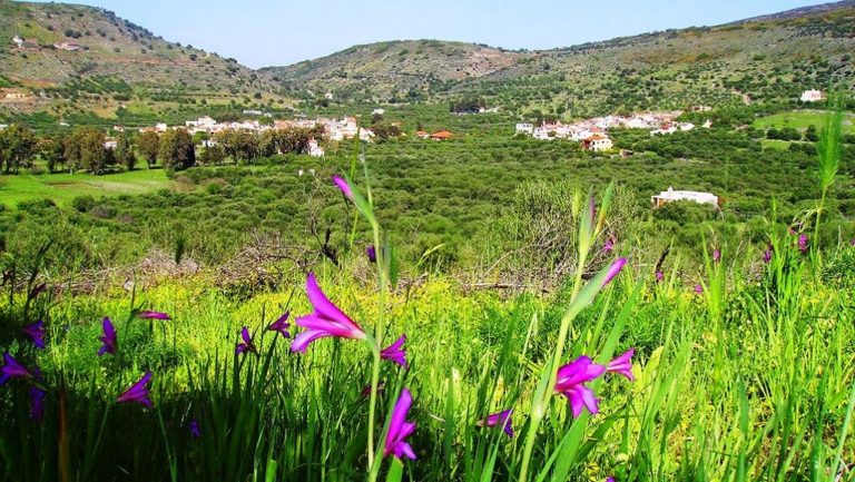 Τροποποίηση ορίων για λιγότερους φόρους