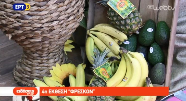 4η Έκθεση Freskon στη Θεσσαλονίκη (video)