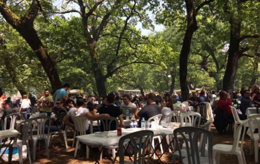 Πρωτομαγιά στο δρυοδάσος της Κάπελης