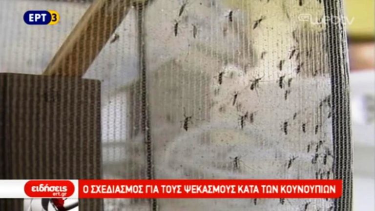 Ο σχεδιασμός για τους ψεκασμούς κατά των κουνουπιών (video)