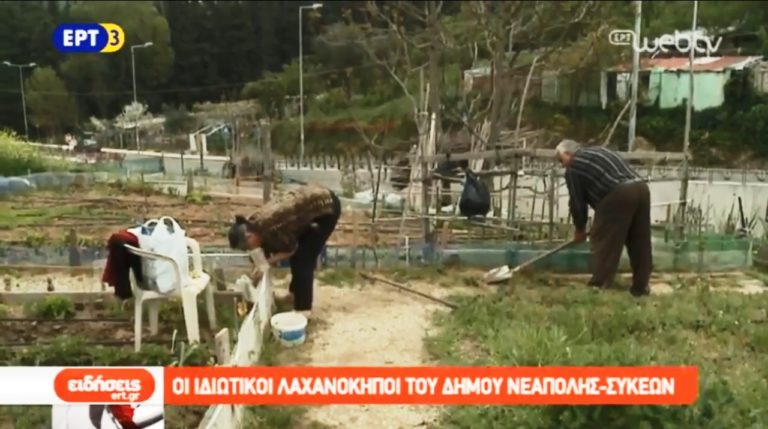 Οι δημοτικοί λαχανόκηποι στον δήμο Νεάπολης – Συκεών (video)