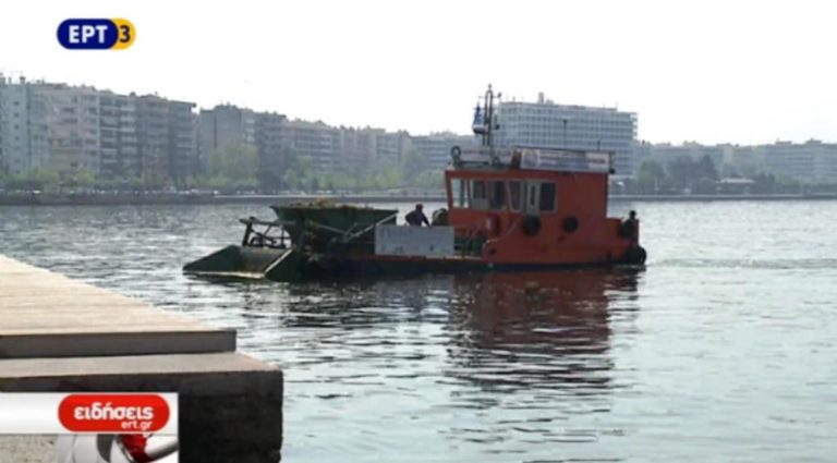 H εμφάνιση του φυτοπλαγκτόν στον Θερμαϊκό (video)