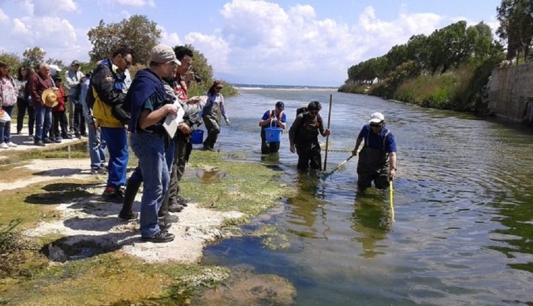 Ραφήνα: Tα ψάρια ήταν “πιστά” στο “ραντεβού” τους με τους πολίτες