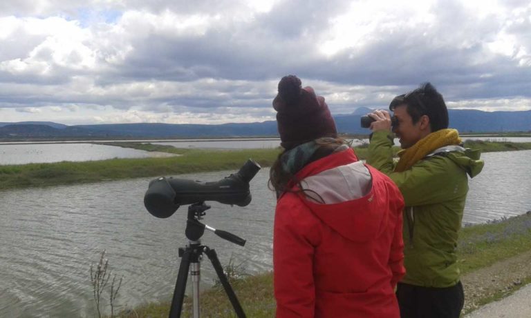 Λέσβος: Σεμινάριο παρατήρησης πουλιών στην Καλλονή