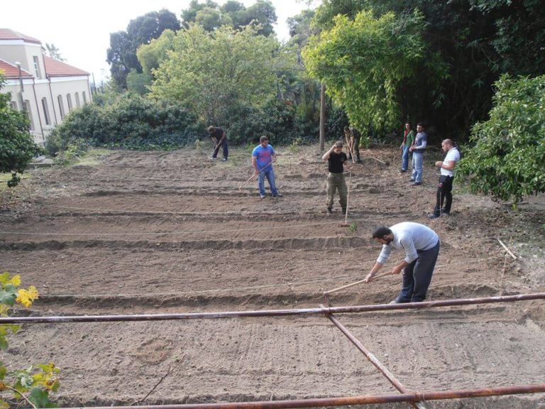 Μελέτη για την αξιοποίηση της Γεωργικής Σχολής Μεσσαράς