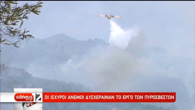 Περιορισμένες οι εστίες στην Ηλεία και στην Αρκαδία (video)