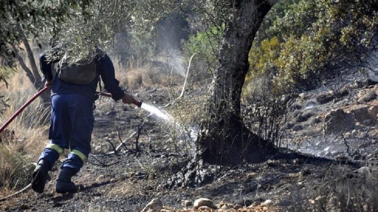 Προσλήψεις δασοπυροσβεστών