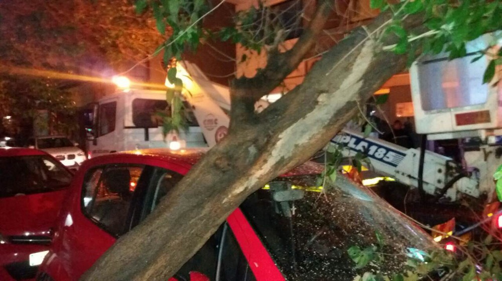 Τεράστιο δέντρο έπεσε πάνω σε αυτοκίνητο στη Ροτόντα