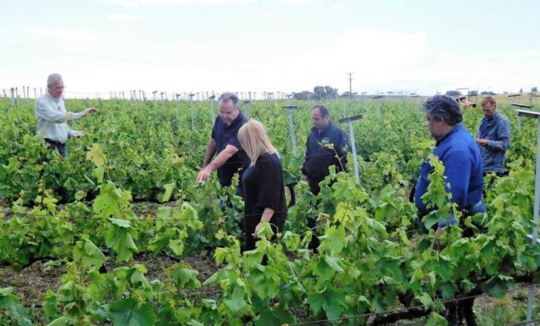 Πληρωμή  αποζημιώσεων ύψους 5,7 εκατ. ευρώ απο τον ΕΛΓΑ, αύριο 26/9