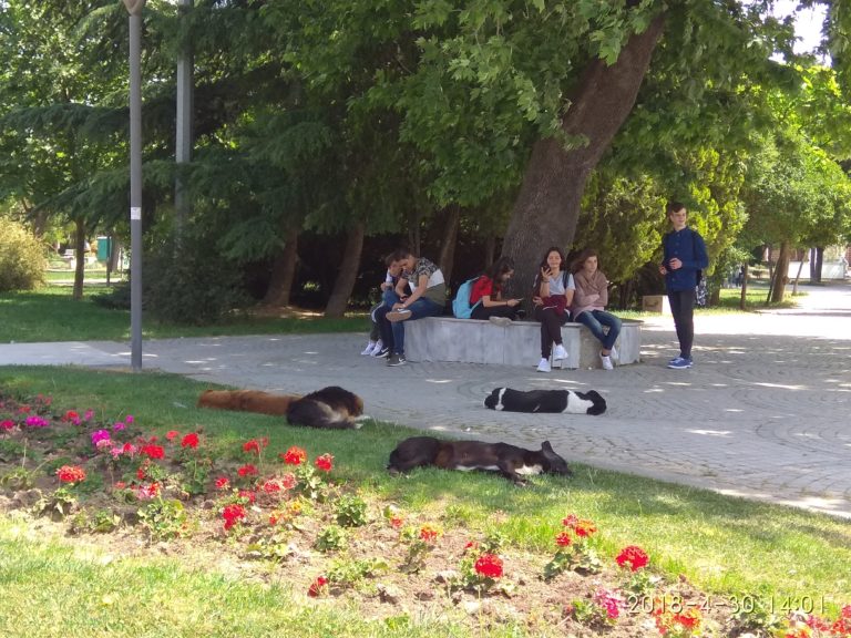 Κομοτηνή: Πρωινή Ενημέρωση
