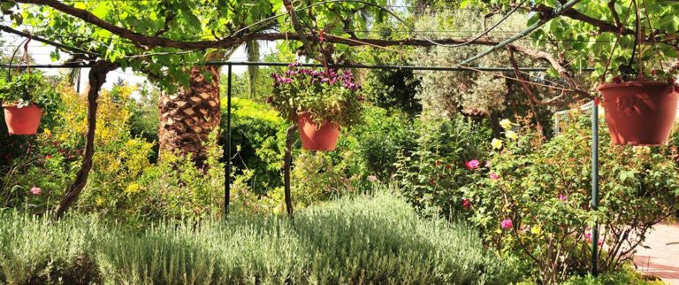 Χανιά: Διαγωνισμός για τον «καλύτερο κήπο» και το «καλύτερο μπαλκόνι»