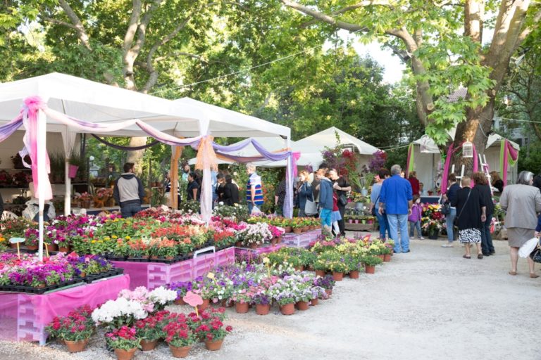 Καλαμάτα: Ξεκινά η Ανθοκομική Έκθεση