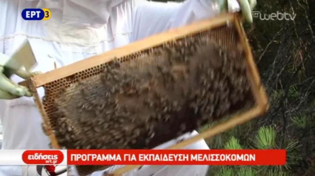 Πρόγραμμα για εκπαίδευση μελισσοκόμων (video)