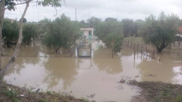 Σε κατάσταση έκτακτης ανάγκης οι πληγείσες περιοχές