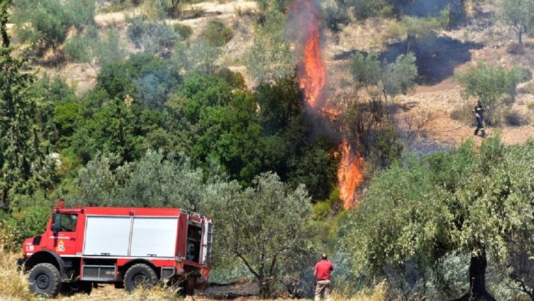 Προσλήψεις για την αντιπυρική περίοδο στην Κρήτη