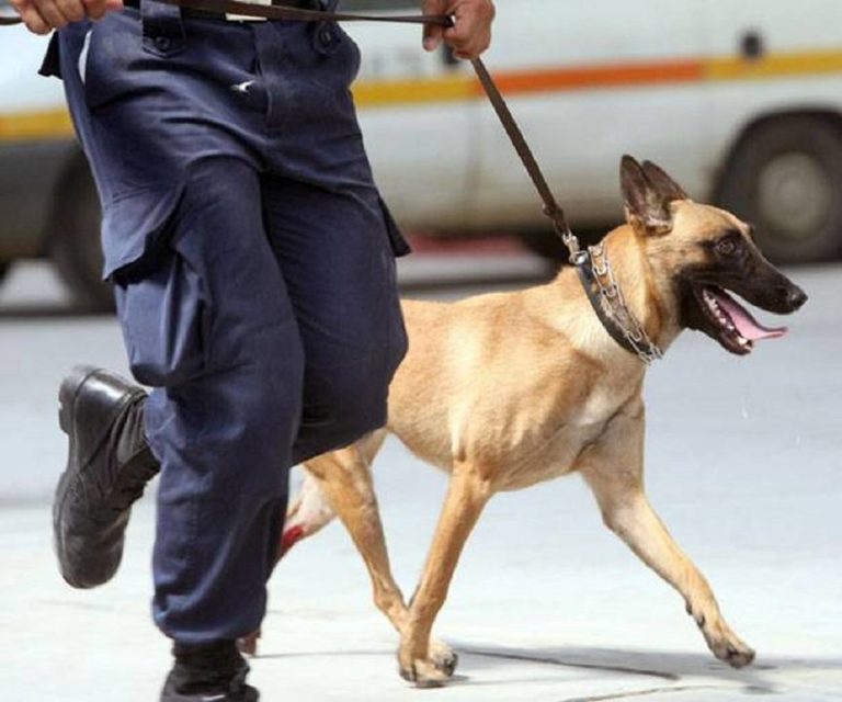 Οι αστυνομικοί σκύλοι “γράφουν ιστορία” στα Χανιά (βίντεο+φωτο)