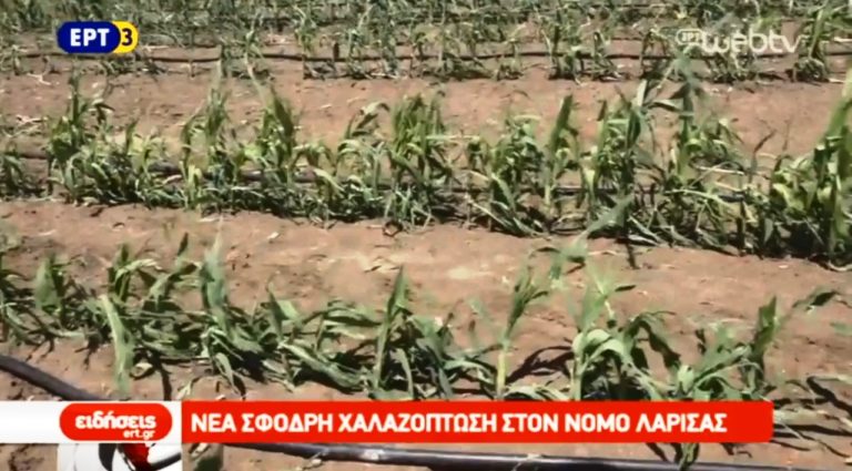 Νέα σφοδρή χαλαζόπτωση στο νομό Λάρισας (video)