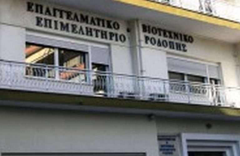 Ροδόπη: Σεμινάριο για τις συγχωνεύσεις-μετατροπές επιχειρήσεων και φορολογικά κίνητρα μετασχηματισμού τους