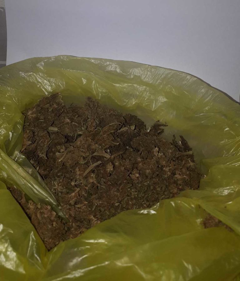 Αστυνομικές επιχειρήσεις στην Περιφέρεια Πελοποννήσου